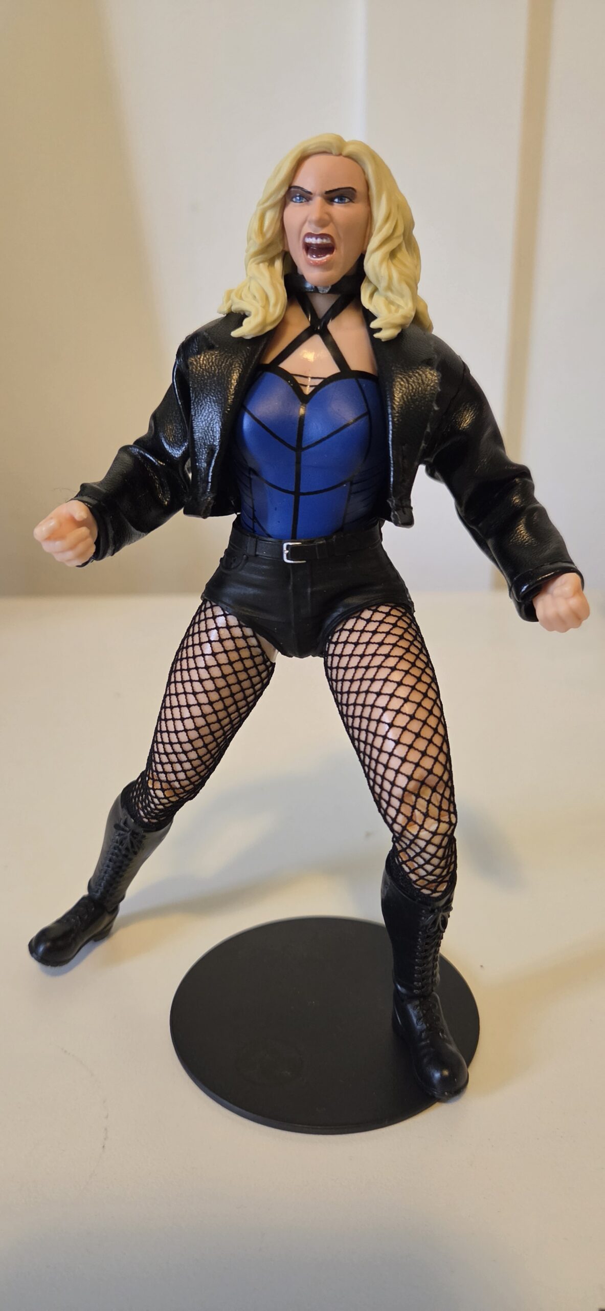 DCマルチバース ブラックキャナリー Toy Review: McFarlane Toys DC Multiverse Black Canary Contains
